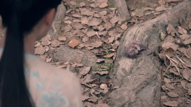 Episódio 05