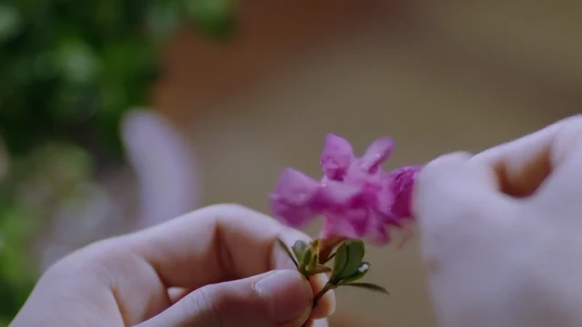 Episódio 07