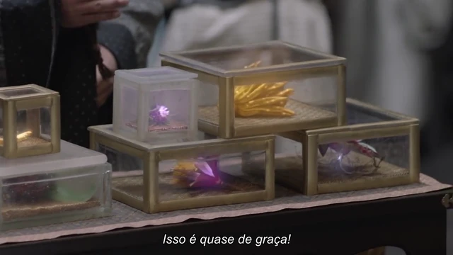 Episódio 29