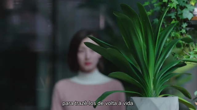 Episódio 22