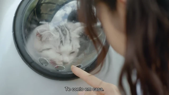 Episódio 13