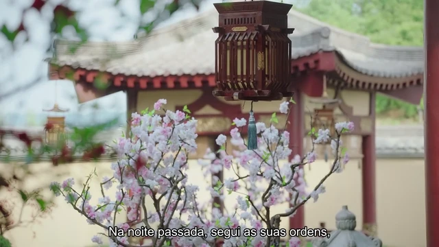 Episódio 11