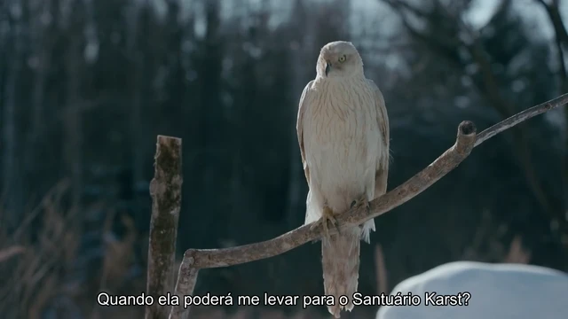 Episódio 10