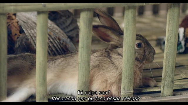 Episódio 03