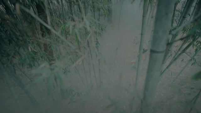 Episódio 32