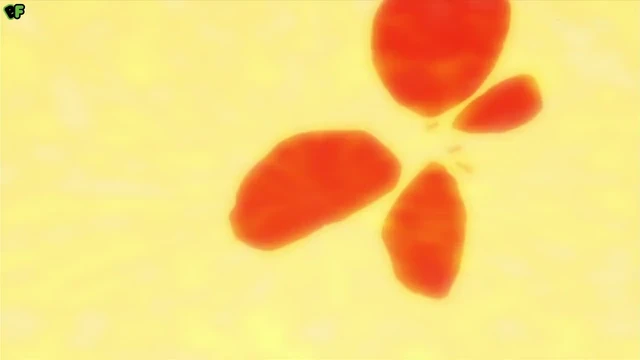 Episódio 05