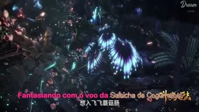 Episódio 24