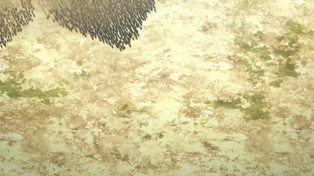 Episódio 12