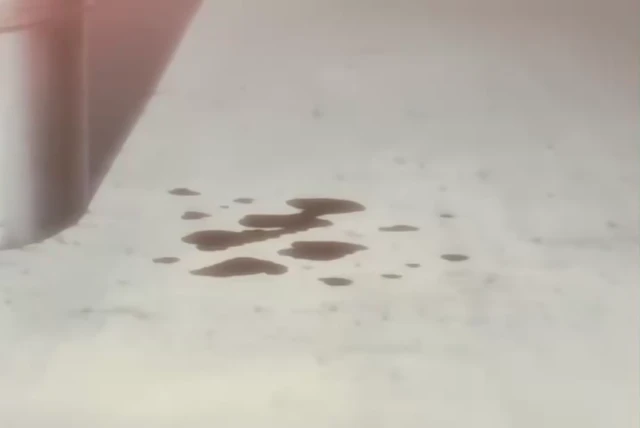 Episódio 109