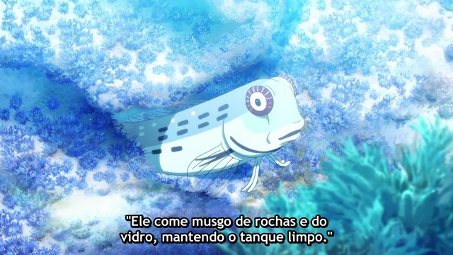 Episódio 01
