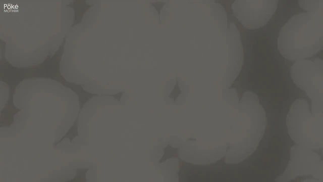 Episódio 77