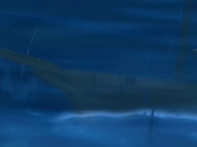 Episódio 19