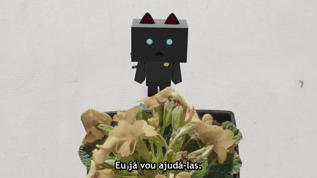 Episódio 16