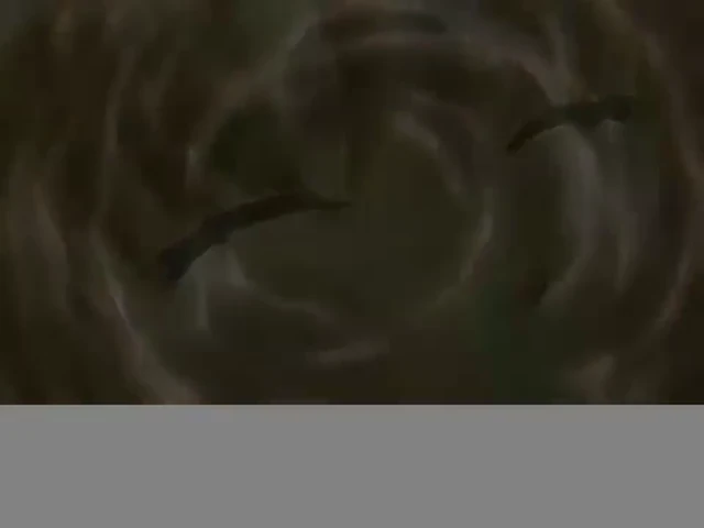 Episódio 06