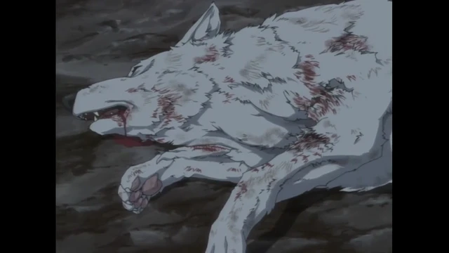 Episódio 17