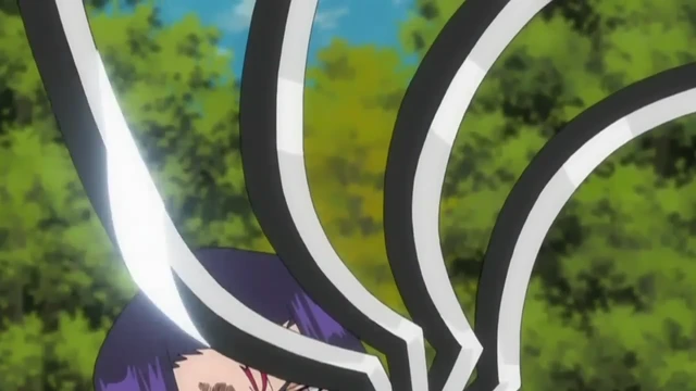 Episódio 217