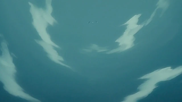 Episódio 237
