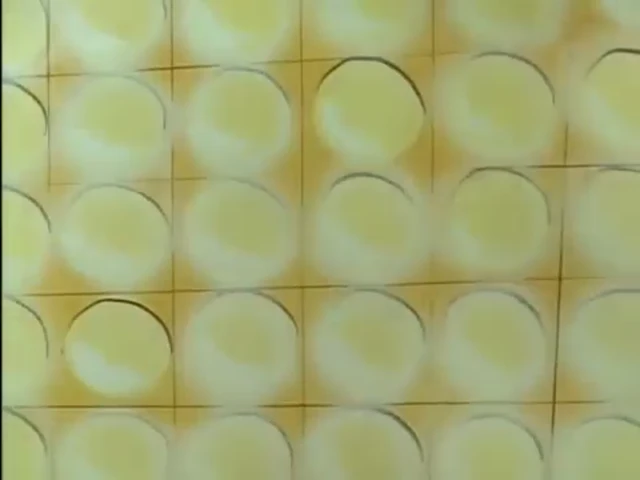 Episódio 35