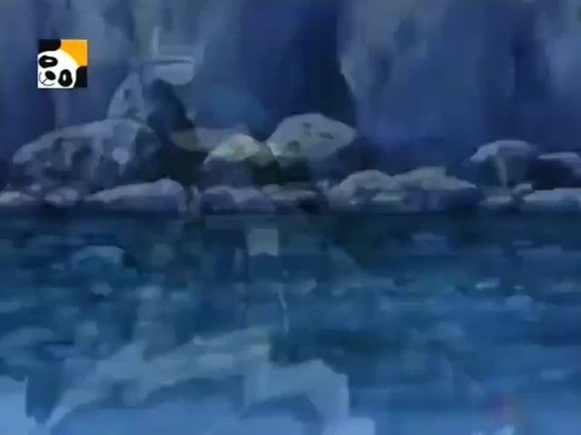 Episódio 49