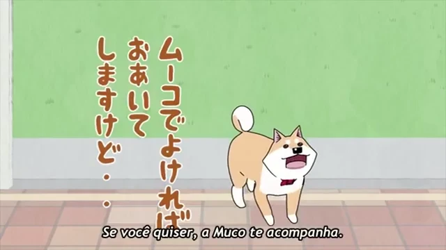 Episódio 07