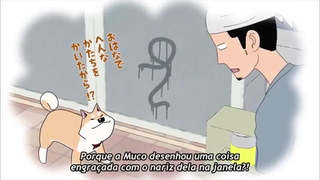 Episódio 12