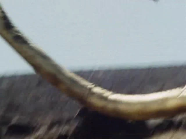 Episódio 18