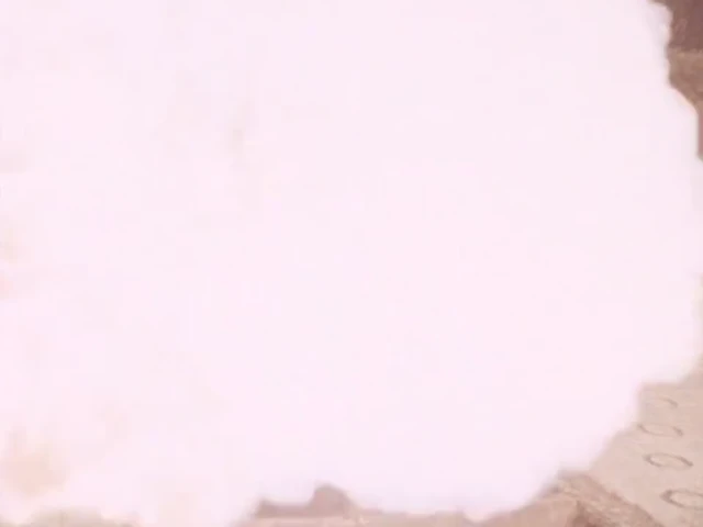 Episódio 10