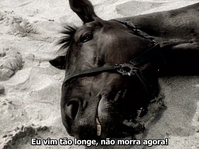 Episódio 09