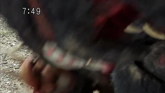 Episódio 29