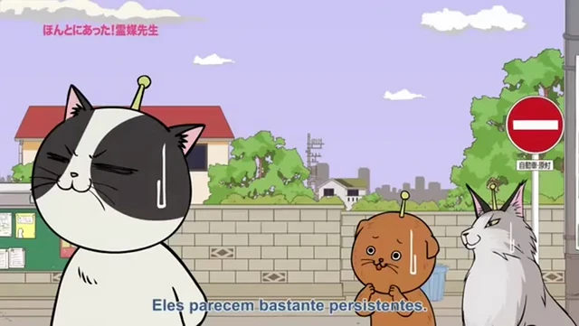 Episódio 10