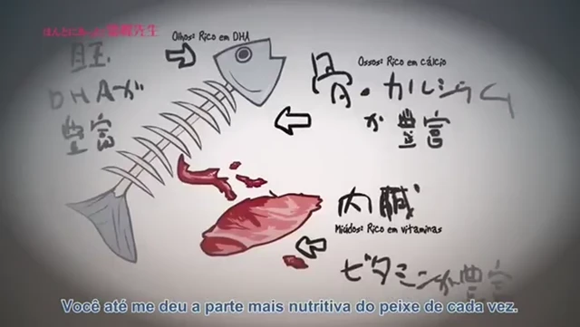 Episódio 15