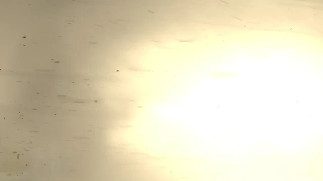 Episódio 11
