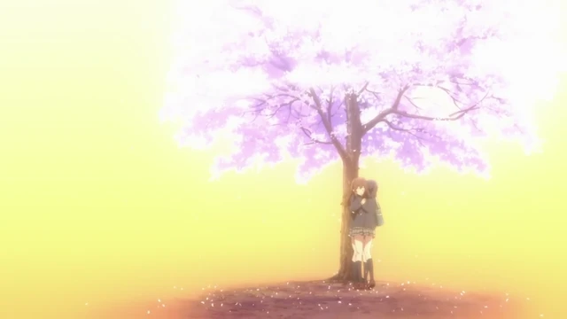 Episódio 11