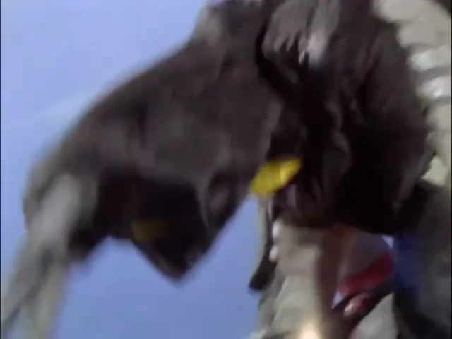 Episódio 39
