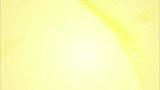 Episódio 08