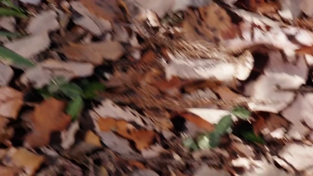 Episódio 01