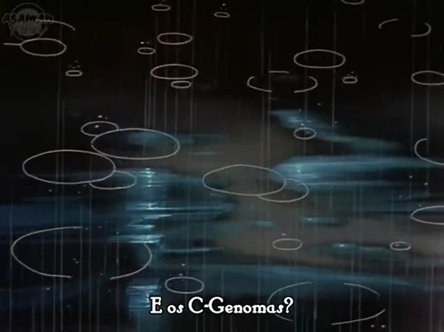 Episódio 22