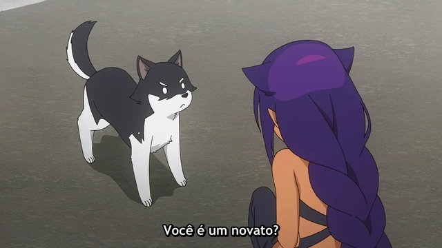 Episódio 12