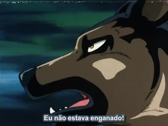 Episódio 08
