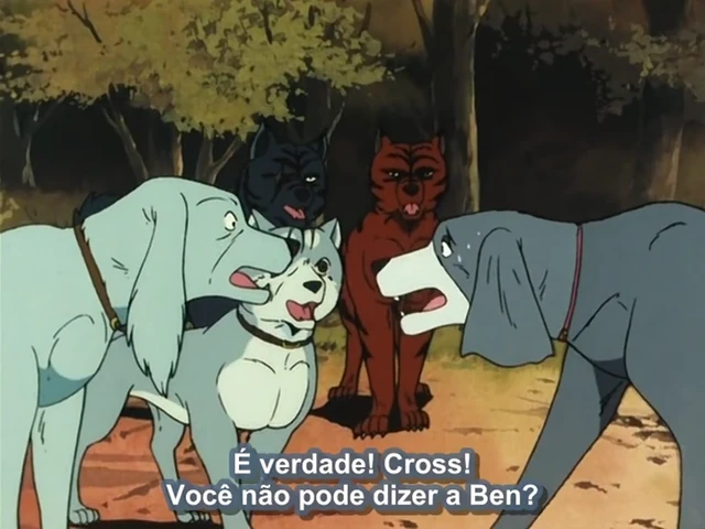 Episódio 11