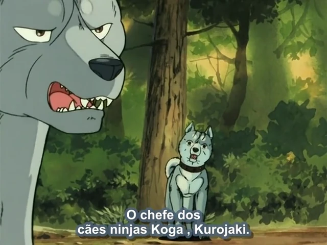 Episódio 12