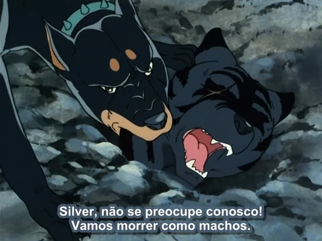 Episódio 14