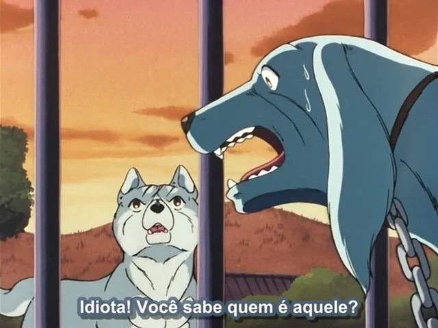 Episódio 15
