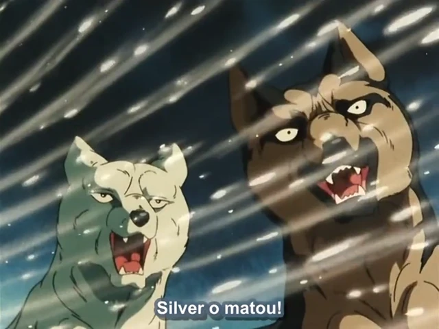 Episódio 21