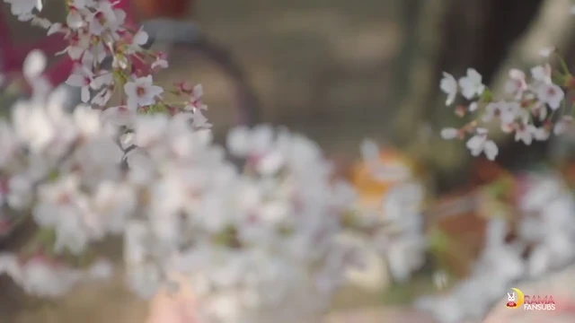 Episódio 16