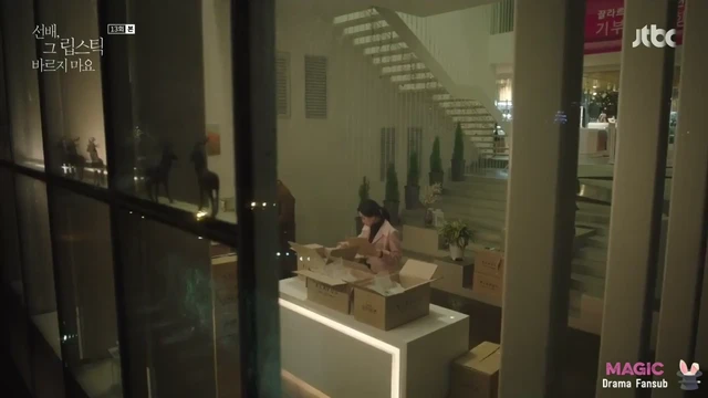 Episódio 13