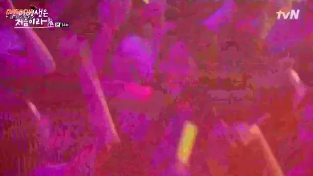 Episódio 14