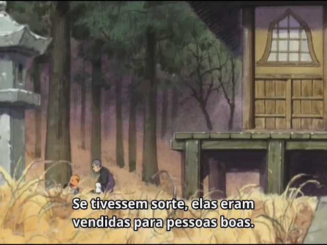 Episódio 24