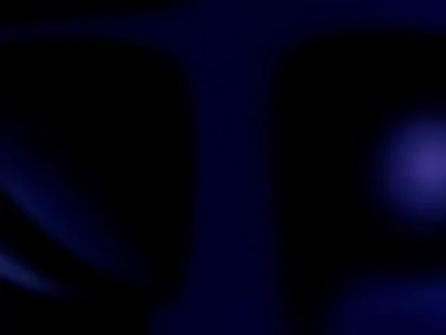 Episódio 116