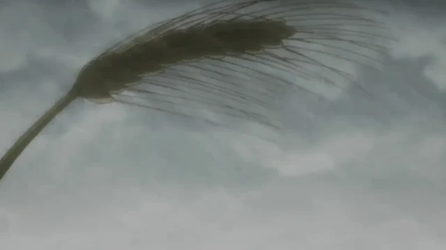 Episódio 05